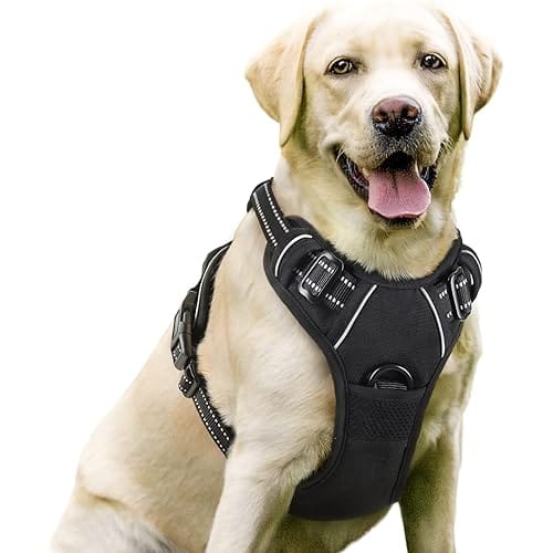 rabbitgoo Dog Harness, No-Pull Pet Harness with 2 Leash Clips, Adjustable Soft Padded Dog Vest, Reflective No-Choke Pet Oxford Vest with Easy Control Handle for Large Dogs, Black, L