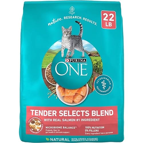 Purina ONE Natural Dry Cat Food, Tender Selects Blend with Real Salmon – 22 lb. Bag
