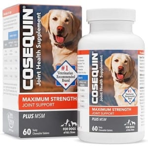 Best Joint Supplement for Dogs