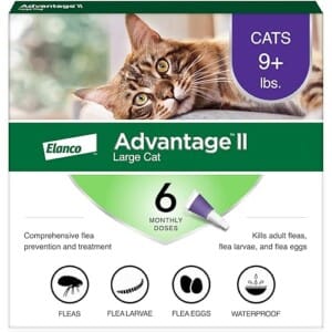 Advantage Flea Treatment For Cats