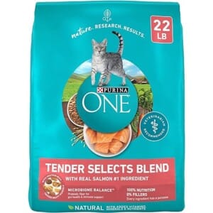 Best Dry Cat Food